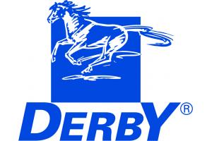 docs/slide_derby_logo_ohne_claim_blau.jpg