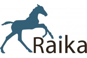 docs/slide_raika_logo.jpg