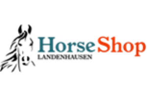docs/slide_horseshop.png